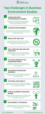 Top Challenges in Business Environment Studies: 