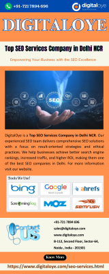 Top SEO Services Company in Delhi NCR: 