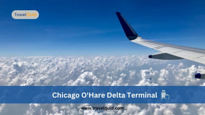 Effortless Travel Convenience at Delta Terminal Chicago: 