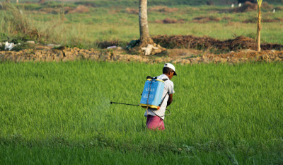 Best battery Operated Sprayers For Agriculture: 