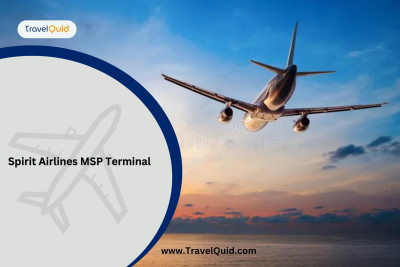 Navigating MSP: Spirit Airlines Terminal Information: 
