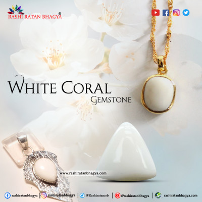 Get Per carat White Coral Gemstone at Wholesale price: 