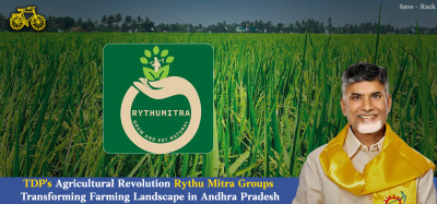 TDP's Agricultural Revolution: Rythu Mitra Groups Transforming Farming Landscape in Andhra Pradesh: 