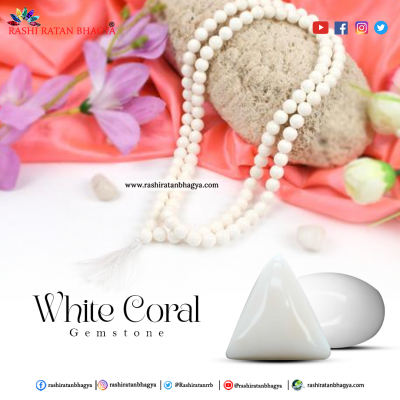 Shop Natural White Coral Stone Online at best Price: 