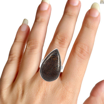 Dinosaur Bone Jewelry A Rare and Precious Beauty: 