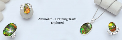 Explore The World of Ammolite Jewelry: 