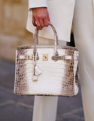 Hermès Birkin 25 Himalaya: 