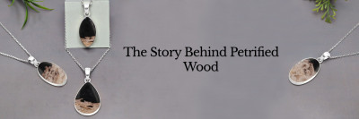 Petrified Wood Meaning, History, Healing Properties, Uses and Cleansing: 