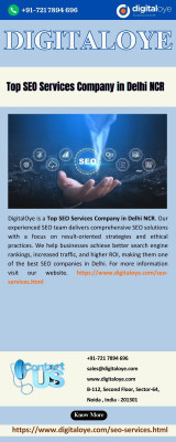 Top SEO Services Company in Delhi NCR: 