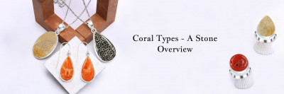 Types of Coral Stone - A Complete Guide: 