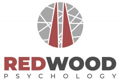 Insightful Evaluations: Psychological Assessments for Personal Growth: 