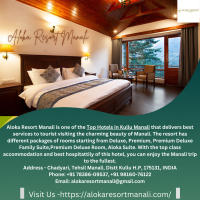 Top Hotels in Kullu Manali: 