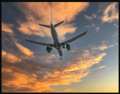 Tap Air Portugal AMS Terminal +1-866-666-0203: 