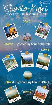 Shimla – Kufri – Delhi Travel Guide: 