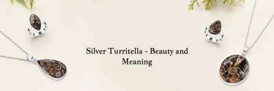 Silver Turritella Jewelry: Timeless Beauty for Any Occasion: 