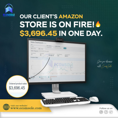 One day sale on our client's Amazon store.: 