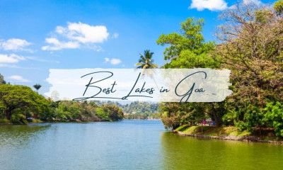 Best Lakes in Goa: Perfect Spots for Picnics and Photography: 
