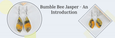 Bumble Bee Jasper: History, Meaning, Healing Properties, Facts, Benefits & Uses: 