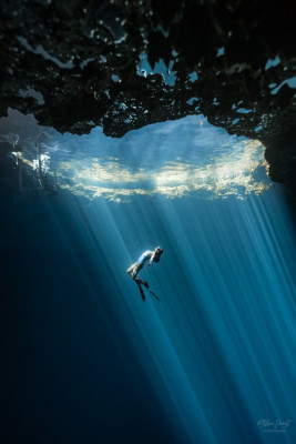 Best Freediving School in Tulum, Freediving Cenotes Tulum Mexico: 