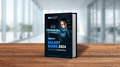 Data Science Professionals’ Salary Guide 2024: 