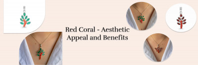 Revelation Of Red Coral Meaning, Astrological Benefits, & Healing Properties: 