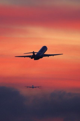 Delta Airline Berlin Office +1-833-563-0186: 