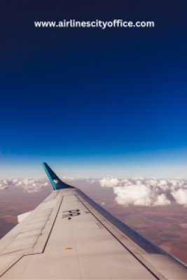 Exploring Bereavement Fares Do Airlines Still Offer Discounted Tickets for Emergencies?: 