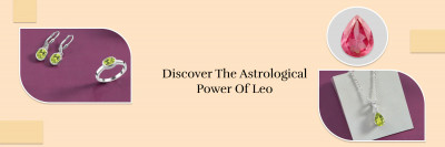 LEO: A Journey to the Stars: 
