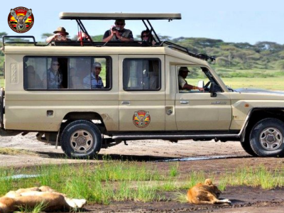 Discover Tanzania with the Best Safari Operators: 