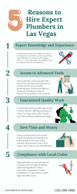 Top 5 Reasons to Hire Expert Plumbers in Las Vegas: 