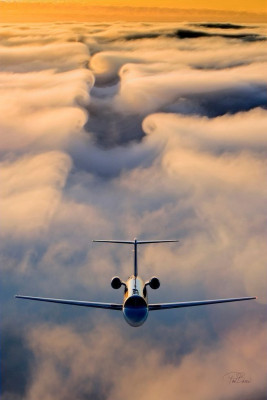 KLM Airlines DMM Terminal +1-888-839-0502: 