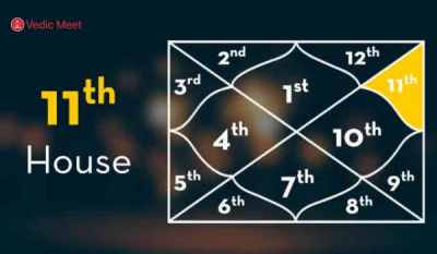 The 11th House in Astrology: Friendship, Goals, and Collective Energies: 