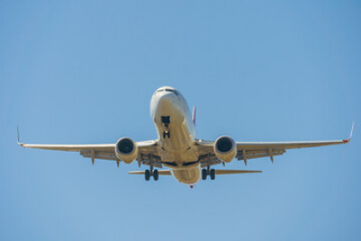 Delta Airlines Singapore Office +1–888–839–0502: 