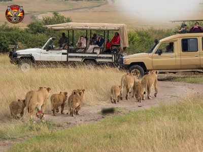 Experience Unmatched Luxury with Private Tanzania Safari Tours: 