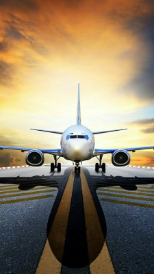 All Nippon Airways SYD Terminal  +1-888-839-0502: 