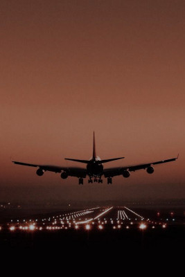 KLM Airlines PVG Terminal +1-888-839-0502: 