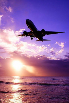 Norwegian Air OSL Terminal  +1-888-839-0502: 