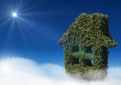The Green Home Revolution: Remodeling for Sustainability: 