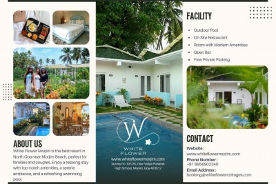 The Best Resort in North Goa with a Swimming Pool & Stunning Views: 