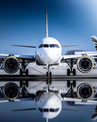 Qatar Airways Anchorage Office +1–888–839–0502: 