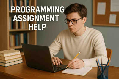 Master Coding Challenges with Expert Academic Support: 