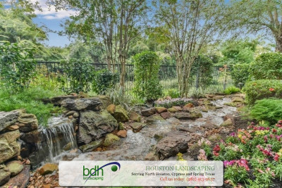 Spring Lawn Care: 