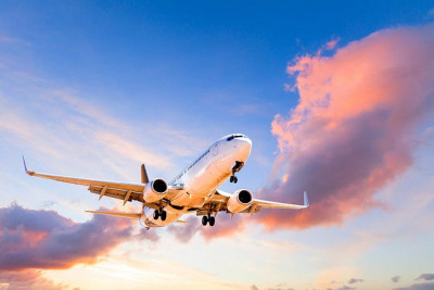 Southwest Airlines MCO Terminal  +1-888-839-0502: 