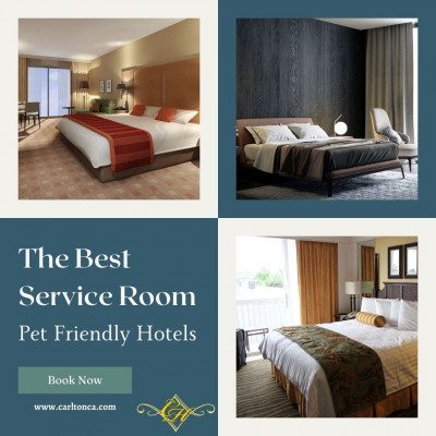 pet friendly hotels: 