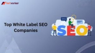 Top White Label Seo Companies: 