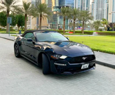 Hire Ford Car Dubai: 