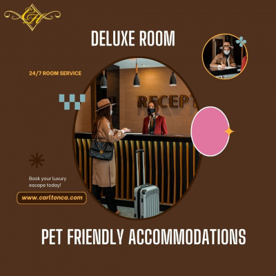 pet friendly accommodations: 