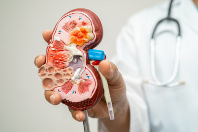 Kidney Shrinkage Treatment: 