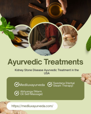 Kidney Stone Disease Ayurvedic Treatment in the USA: 