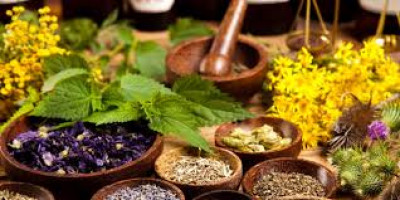 8 Best Herbs for Kidney Health: 